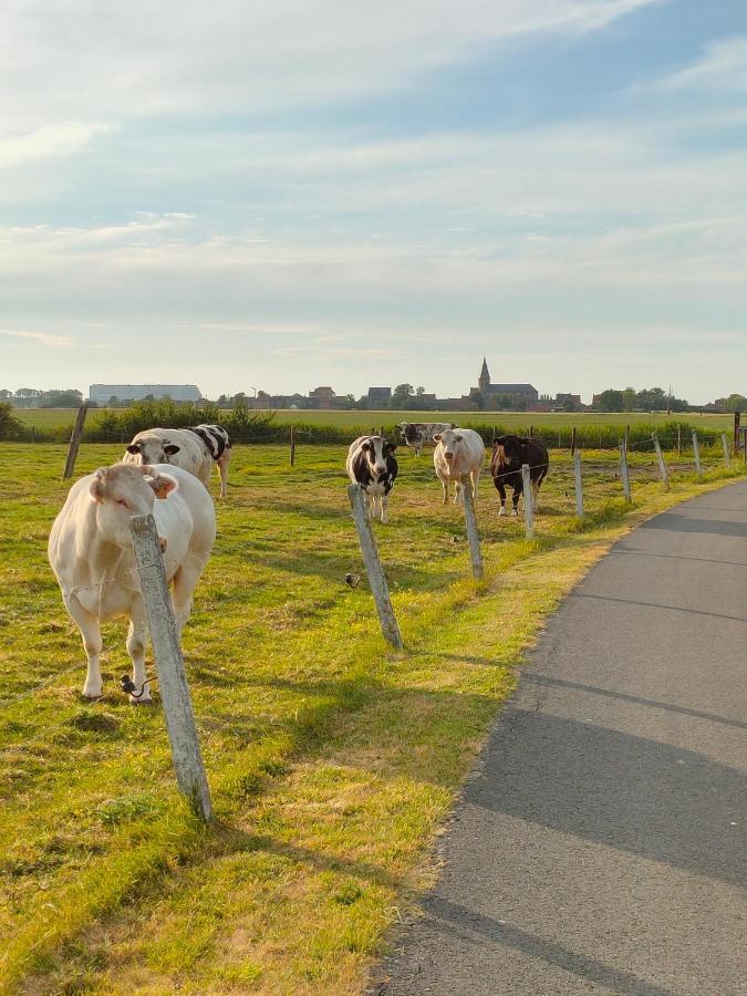 Gastenverblijf Hof Moye Tyt Middelkerke Zewnętrze zdjęcie